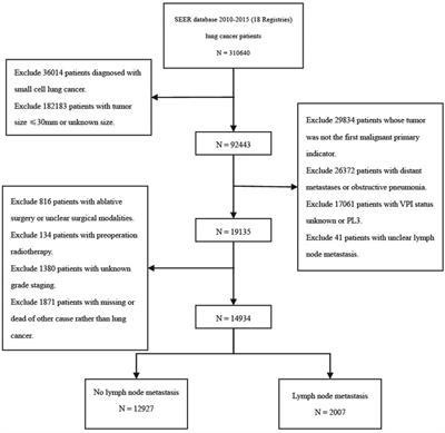 Rethinking the Selection of Pathological T-Classification for Non-Small-Cell Lung Cancer in Varying Degrees of Visceral Pleural Invasion: A SEER-Based Study